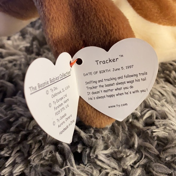 TRACKER THE BASSET HOUND & FETCH *RETIRED AND RARE TY BEANIE BABYS* - Picture 6 of 9